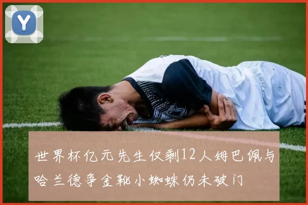 世界杯亿元先生仅剩12人姆巴佩与哈兰德争金靴小蜘蛛仍未破门