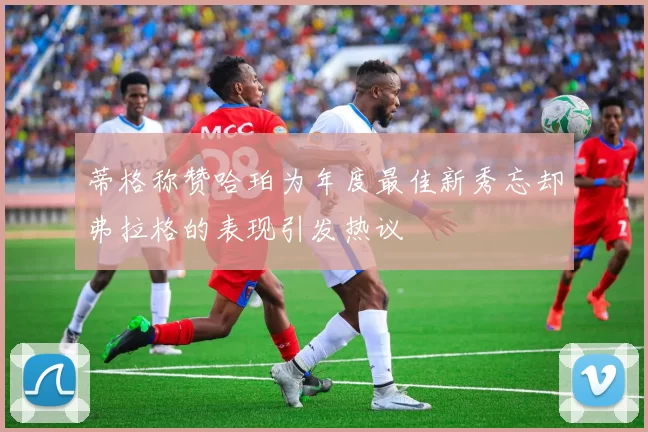 蒂格称赞哈珀为年度最佳新秀忘却弗拉格的表现引发热议